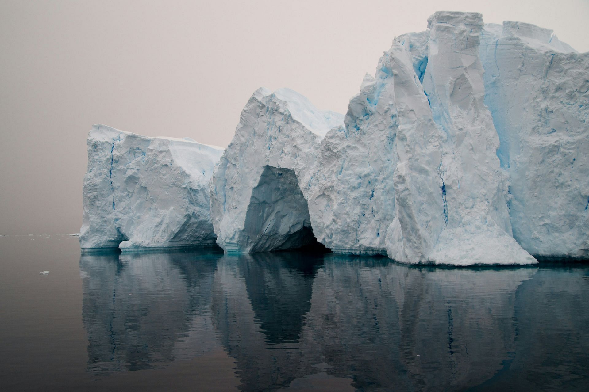Krill oil vs Fish oil: Krill is sourced from the Antarctic waters (Image by Torsten Dederichs/Unsplash)